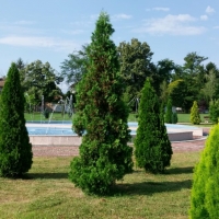 Социално предприятие за озеленяване и благоустройство създава Община Севлиево
