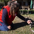 Добри резултати отчитат от общинския приют за безстопанствени животни в Севлиево