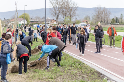 ЗА ДЕН СЕВЛИЕВЦИ ЗАСАДИХА 136…