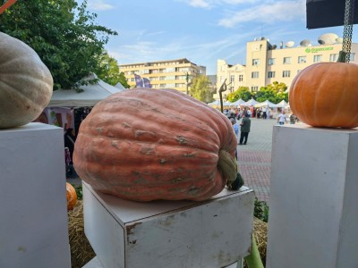 80-КИЛОГРАМОВА ТИКВА И ТИКВА С…